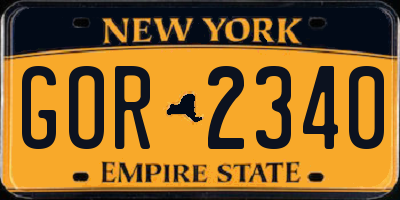 NY license plate GOR2340