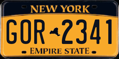 NY license plate GOR2341