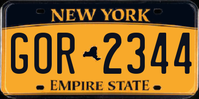 NY license plate GOR2344