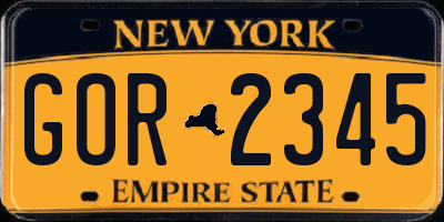 NY license plate GOR2345