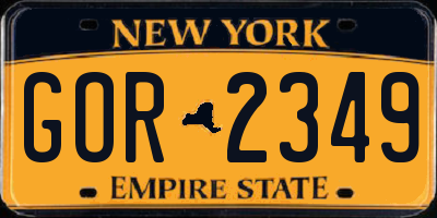 NY license plate GOR2349