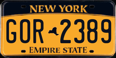NY license plate GOR2389