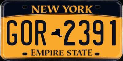 NY license plate GOR2391