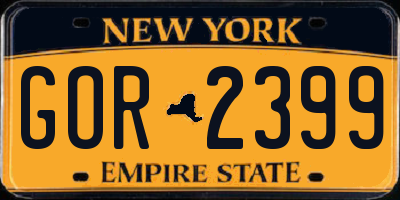 NY license plate GOR2399