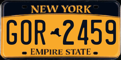 NY license plate GOR2459