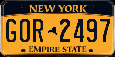 NY license plate GOR2497