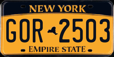 NY license plate GOR2503
