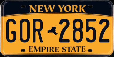 NY license plate GOR2852