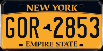 NY license plate GOR2853
