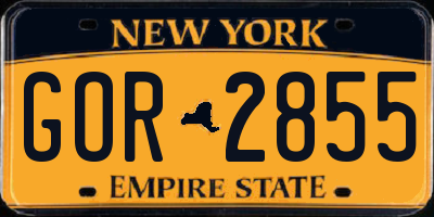 NY license plate GOR2855