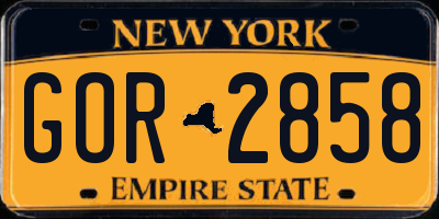 NY license plate GOR2858