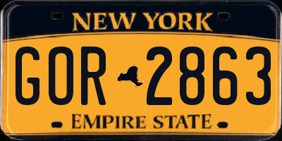 NY license plate GOR2863