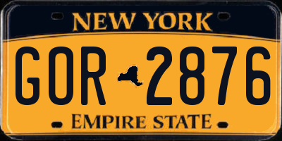 NY license plate GOR2876