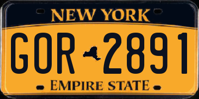 NY license plate GOR2891