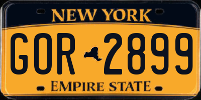 NY license plate GOR2899