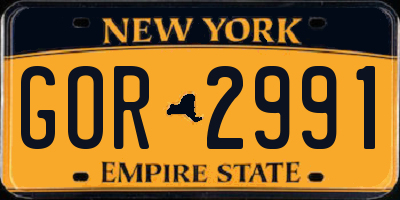 NY license plate GOR2991