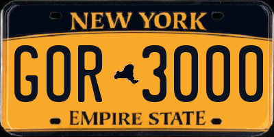NY license plate GOR3000