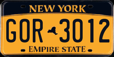 NY license plate GOR3012