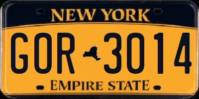NY license plate GOR3014