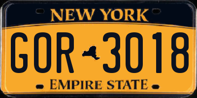 NY license plate GOR3018