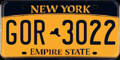 NY license plate GOR3022