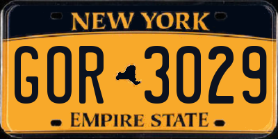 NY license plate GOR3029