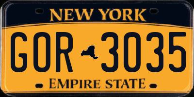 NY license plate GOR3035