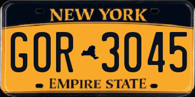 NY license plate GOR3045