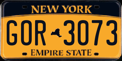 NY license plate GOR3073
