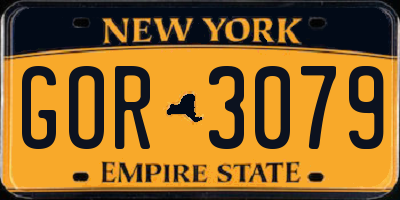 NY license plate GOR3079