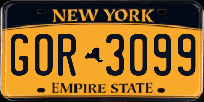NY license plate GOR3099