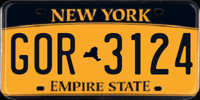 NY license plate GOR3124