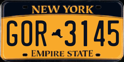 NY license plate GOR3145