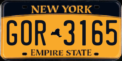 NY license plate GOR3165
