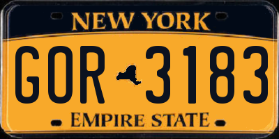NY license plate GOR3183