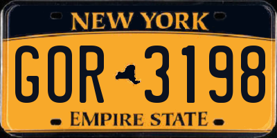 NY license plate GOR3198