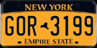 NY license plate GOR3199