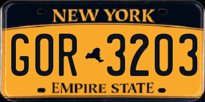 NY license plate GOR3203