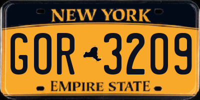 NY license plate GOR3209