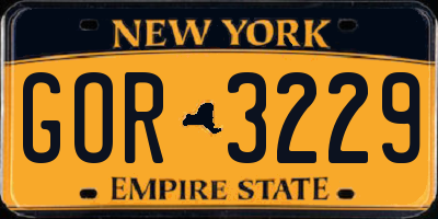 NY license plate GOR3229