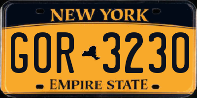 NY license plate GOR3230