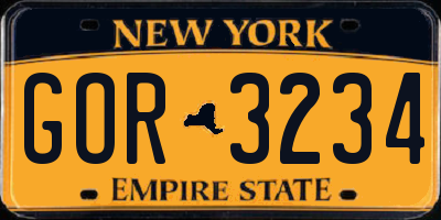 NY license plate GOR3234
