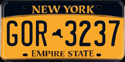 NY license plate GOR3237