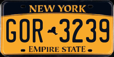 NY license plate GOR3239