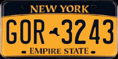 NY license plate GOR3243