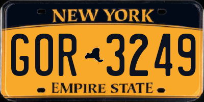 NY license plate GOR3249