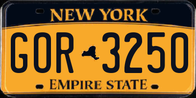 NY license plate GOR3250