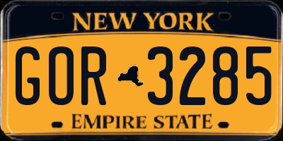NY license plate GOR3285