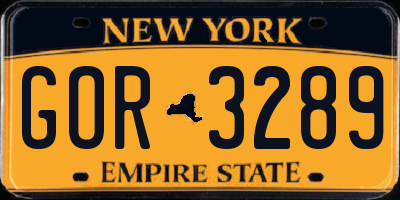 NY license plate GOR3289
