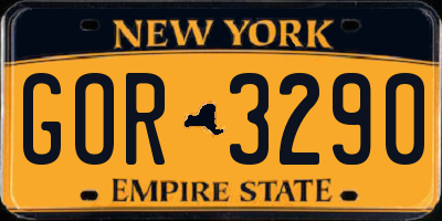 NY license plate GOR3290